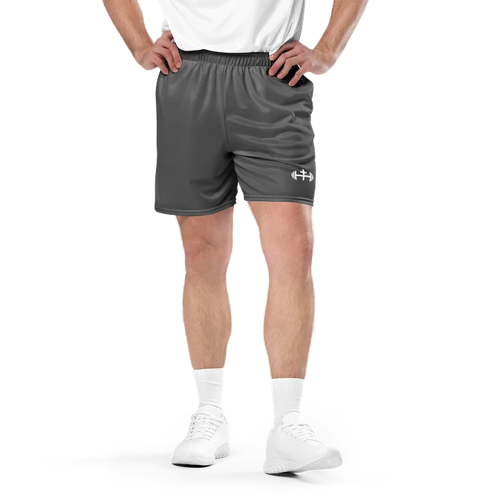 His House Mens Performance Mesh Shorts - Grey product image (1)