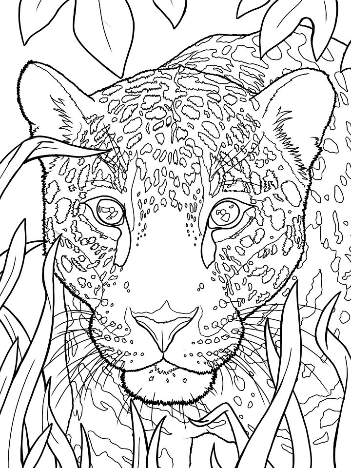 Coloring Page- Jaguar product image (1)