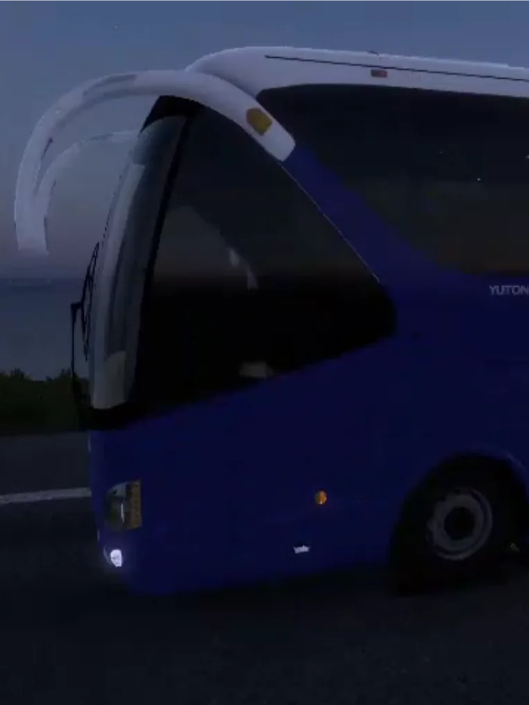COPSA ESTE 🇺🇾 ETS2 | Terrestre product image (5)