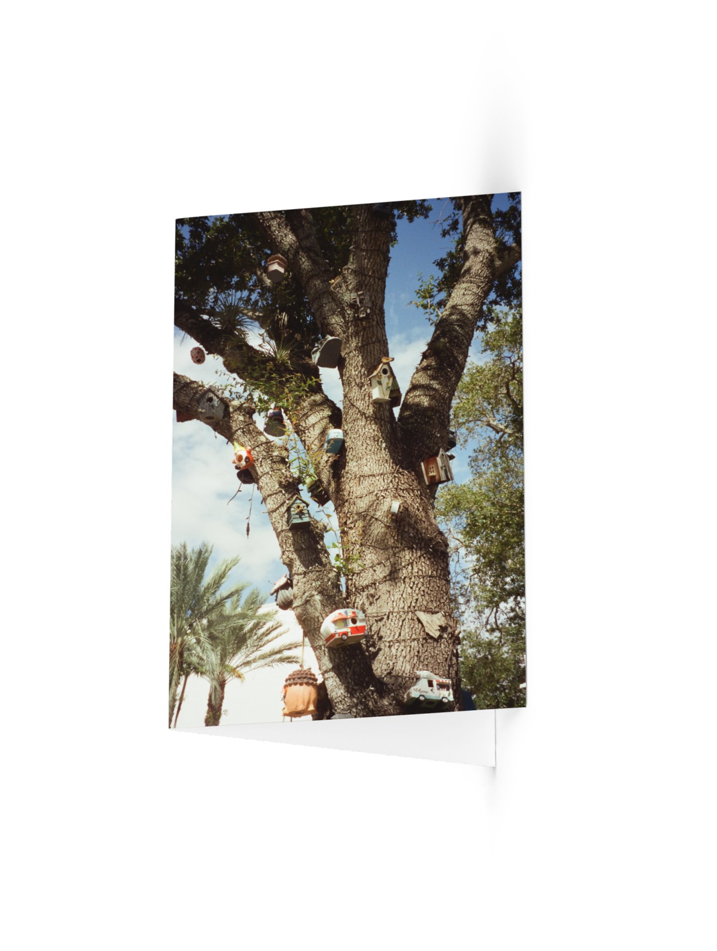 Kitsch "Postcard" product image (1)