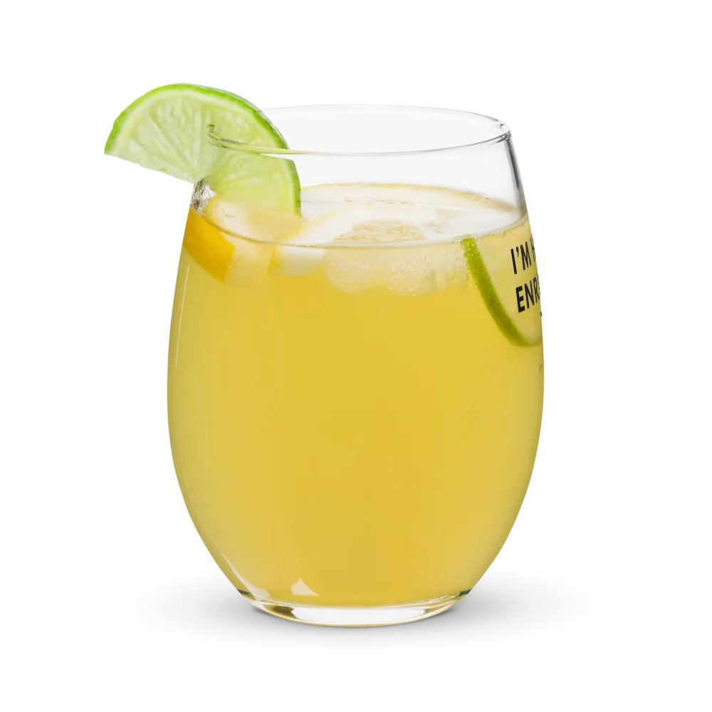 Enrichment Time Stemless Glass product image (3)