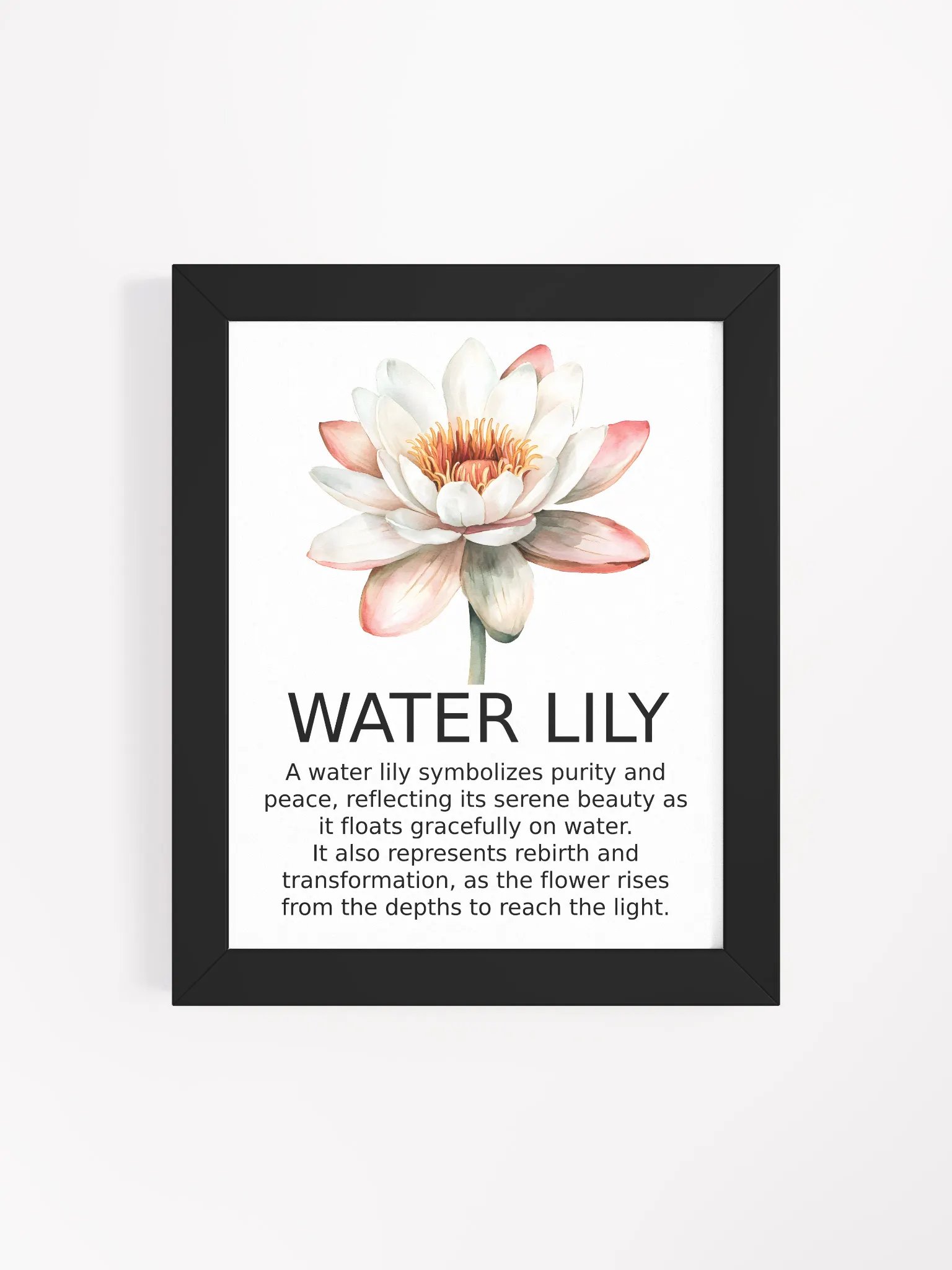 Serene Lily: Framed Matte Poster product image (4)