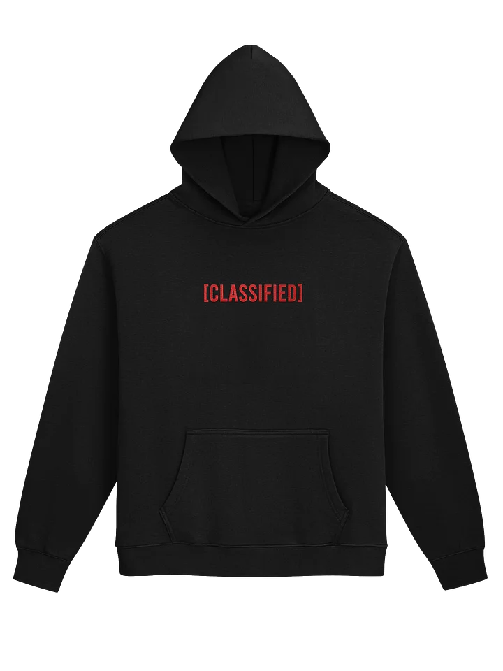 Classified Embroidered Hoodie product image (9)
