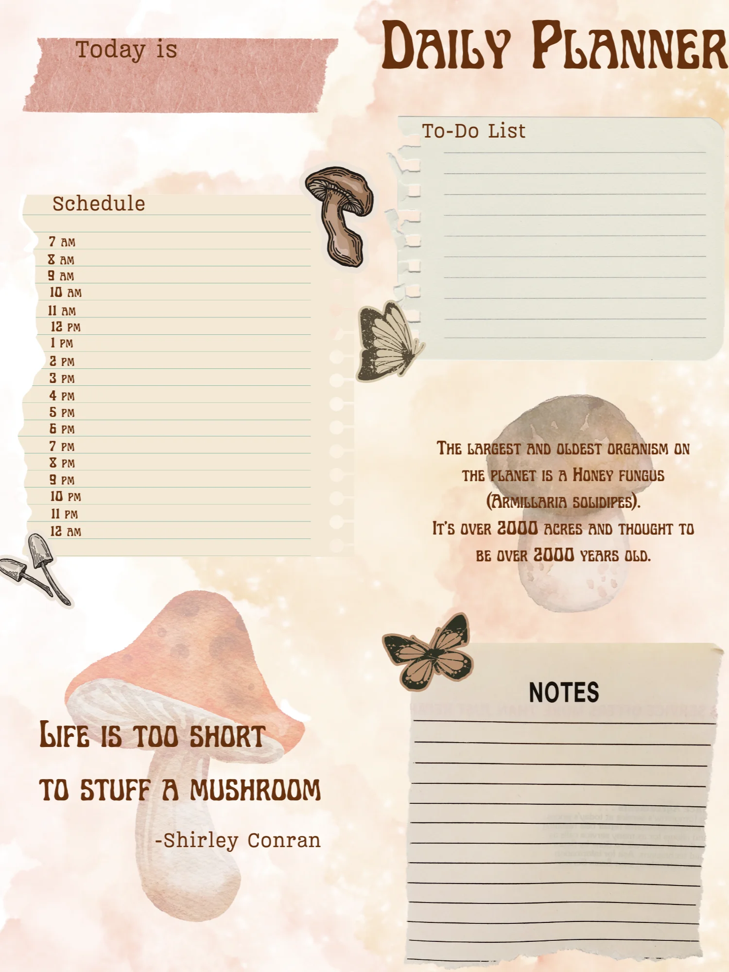 [LETTER] May Planner Design - Mushroom Scrapbook (Daily, Weekly, & Monthly) product image (1)