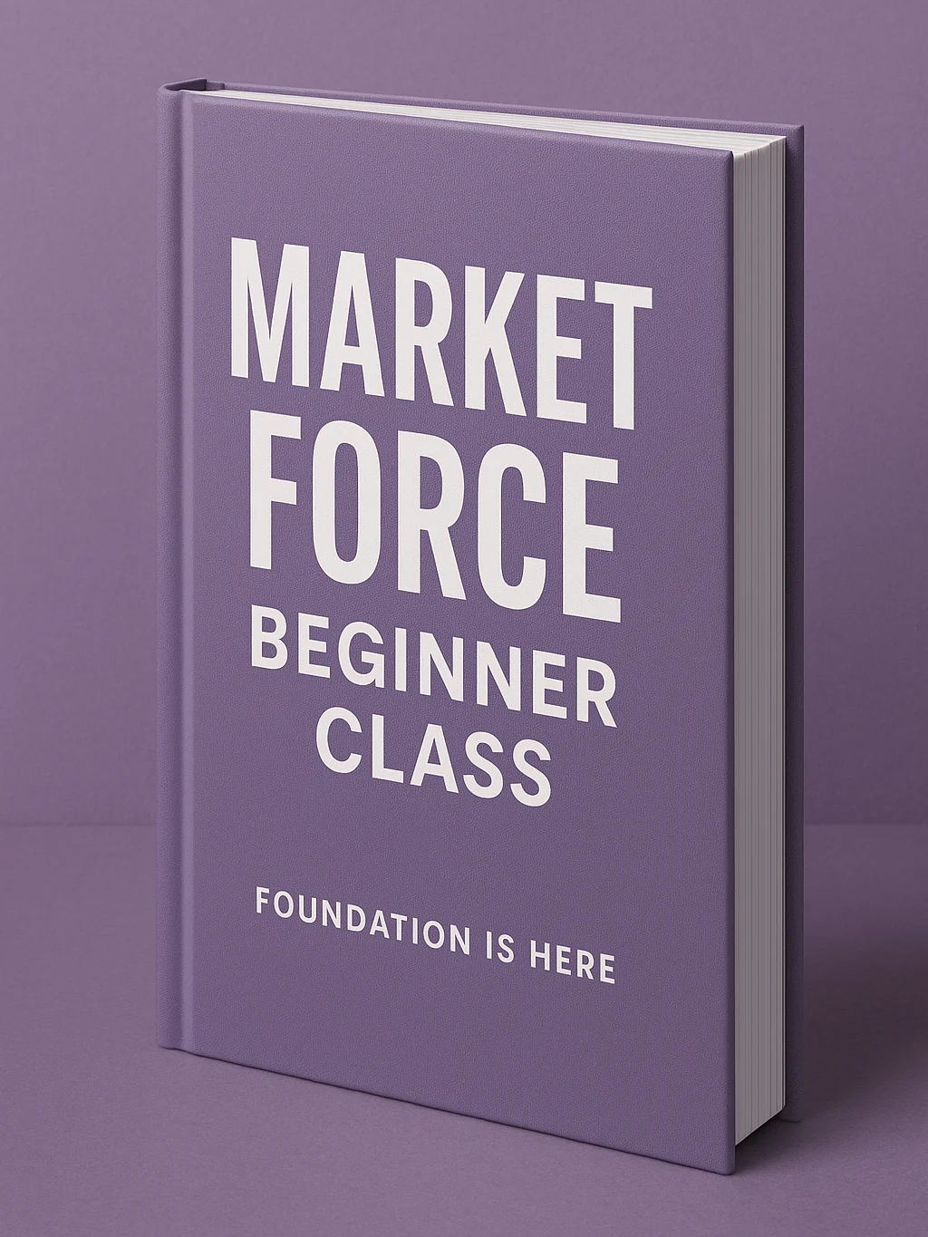 Market Force Beginner Class product image (1)