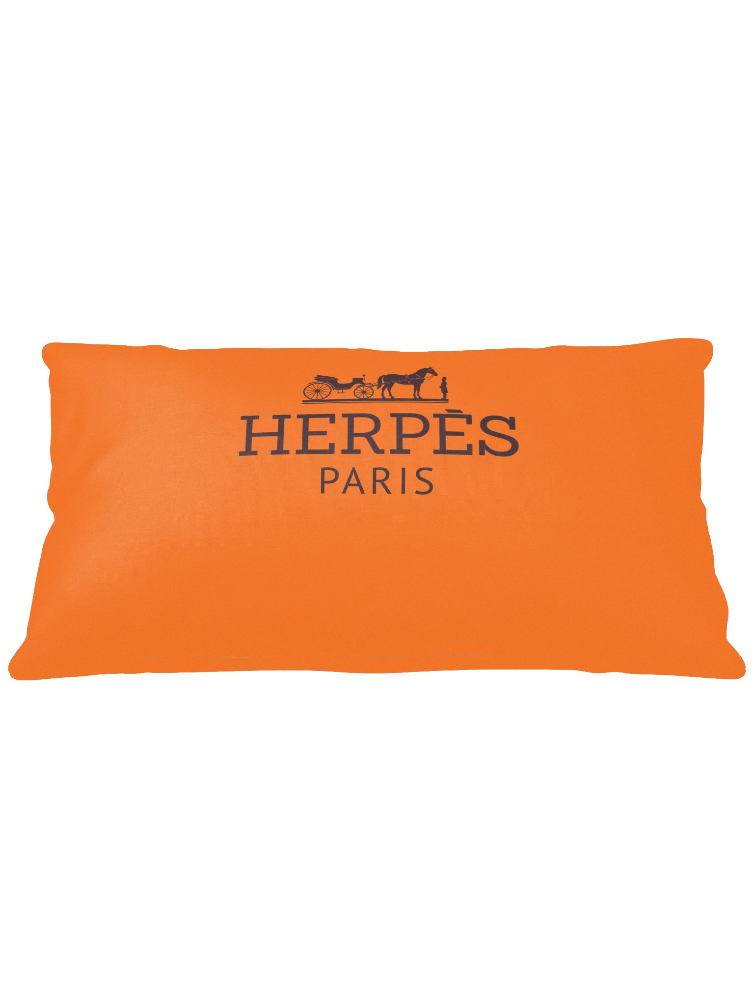 Herpès Pillow Original product image (3)