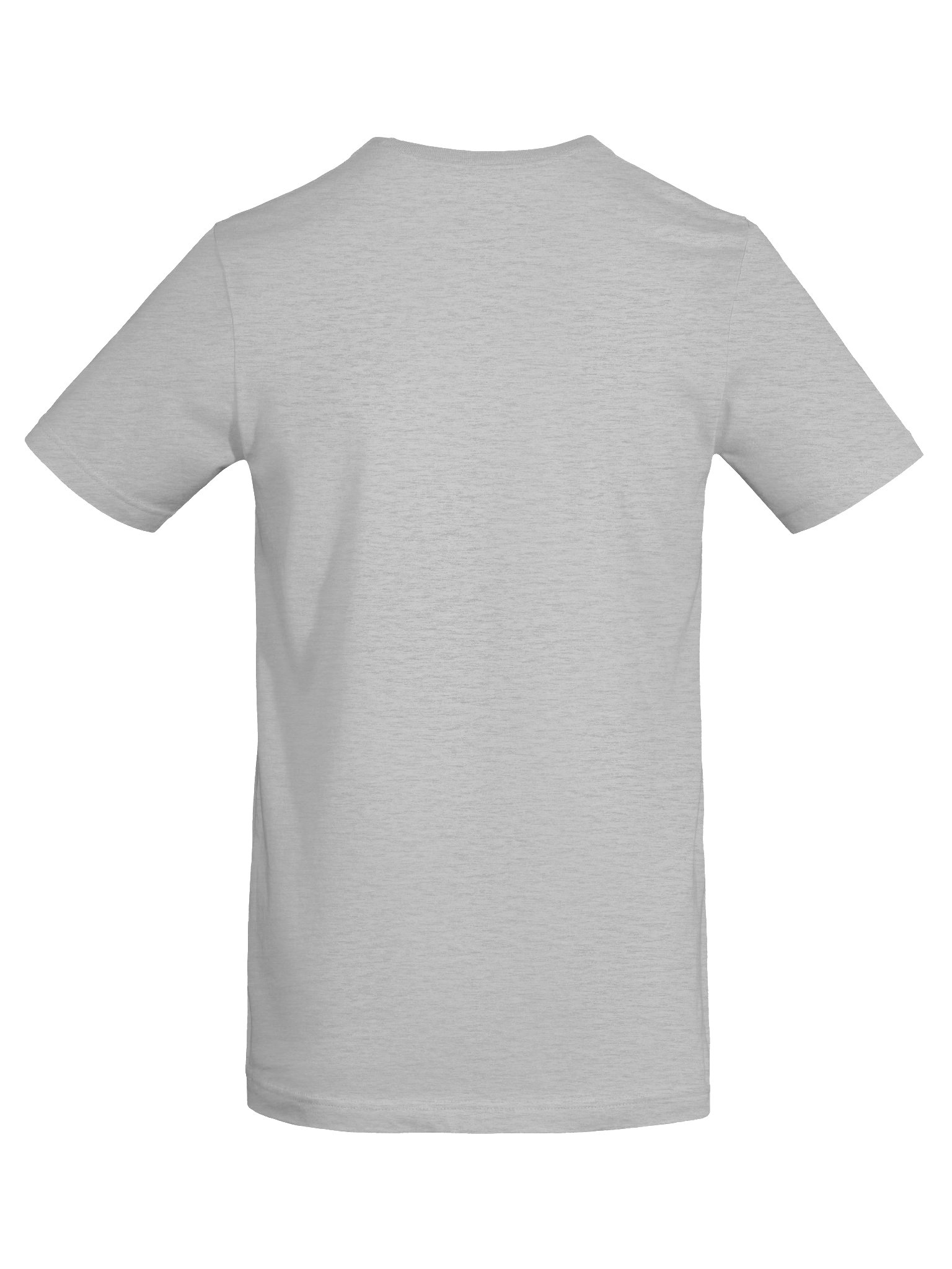 "No Idea" T-shirt (gray) product image (8)