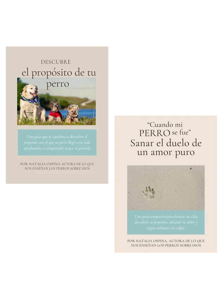 Pack Camino Completo: Del Duelo a la Sanidad y Proposito product image (1)