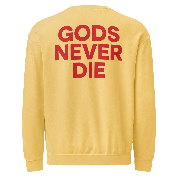 TRASH SOCIETY SWEATSHIRT product image (2)