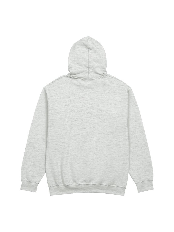 MISINFORMATION IS MY OPP - HOODIE (FRONT ONLY) product image (2)