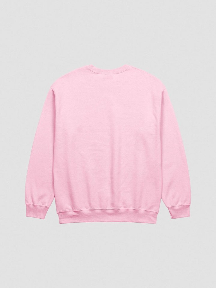 what the hyuck embroidered crewneck (multicolored) product image (2)
