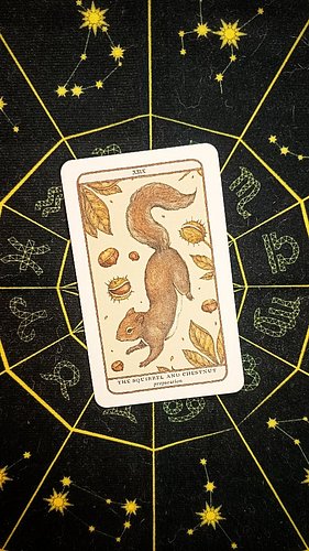 What do you need to prepare for? 
.
.
.
#oracle #tarotreader #tarot #tarotreading