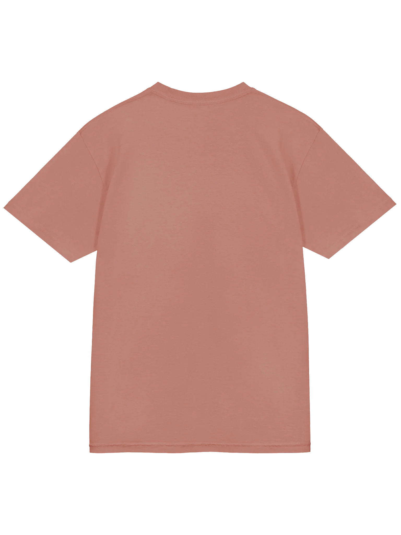"Raised with Christ" Essential Tee product image (4)