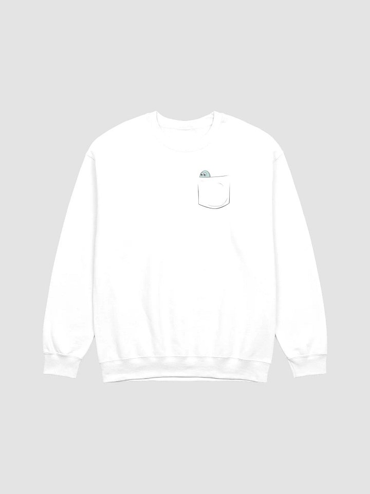 Pocket Saurus Sweater product image (2)