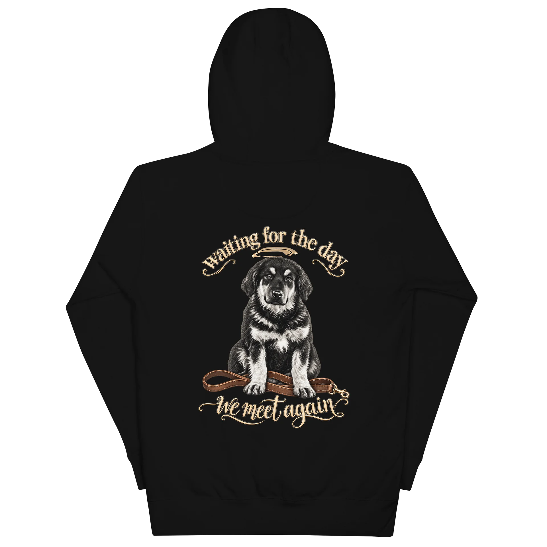 Waiting for the Day, We Meet Again Hoodie product image (2)