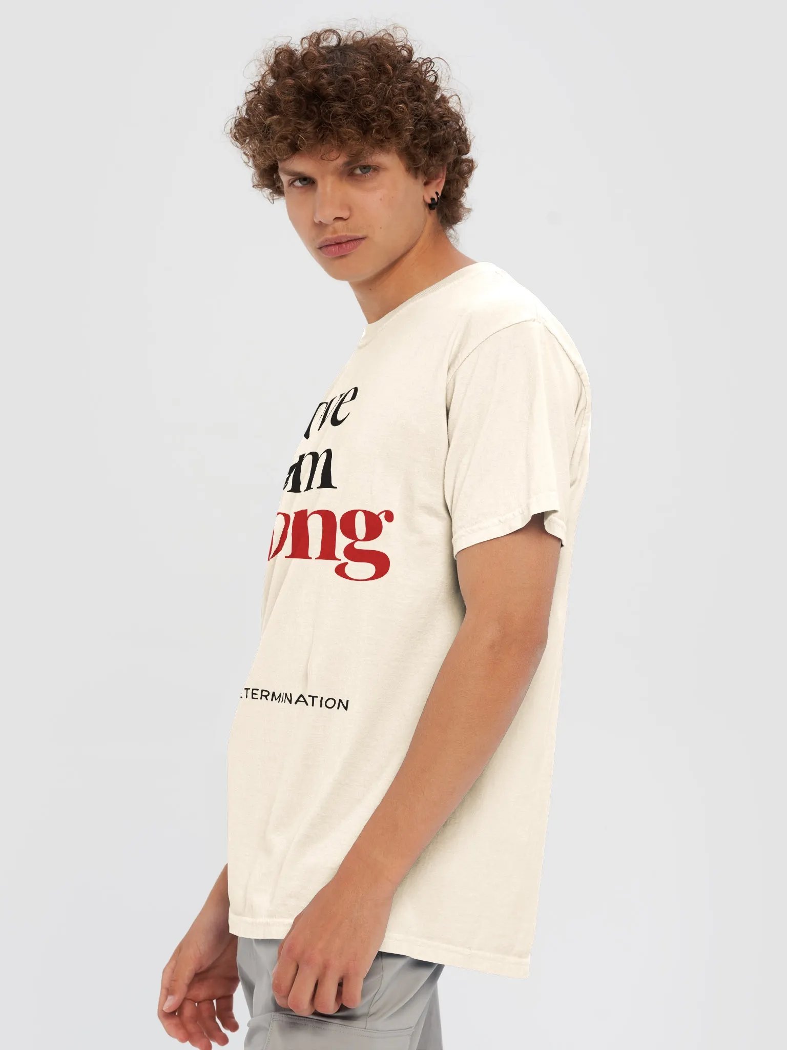 Wrong Vibes Heavyweight Tee product image (17)