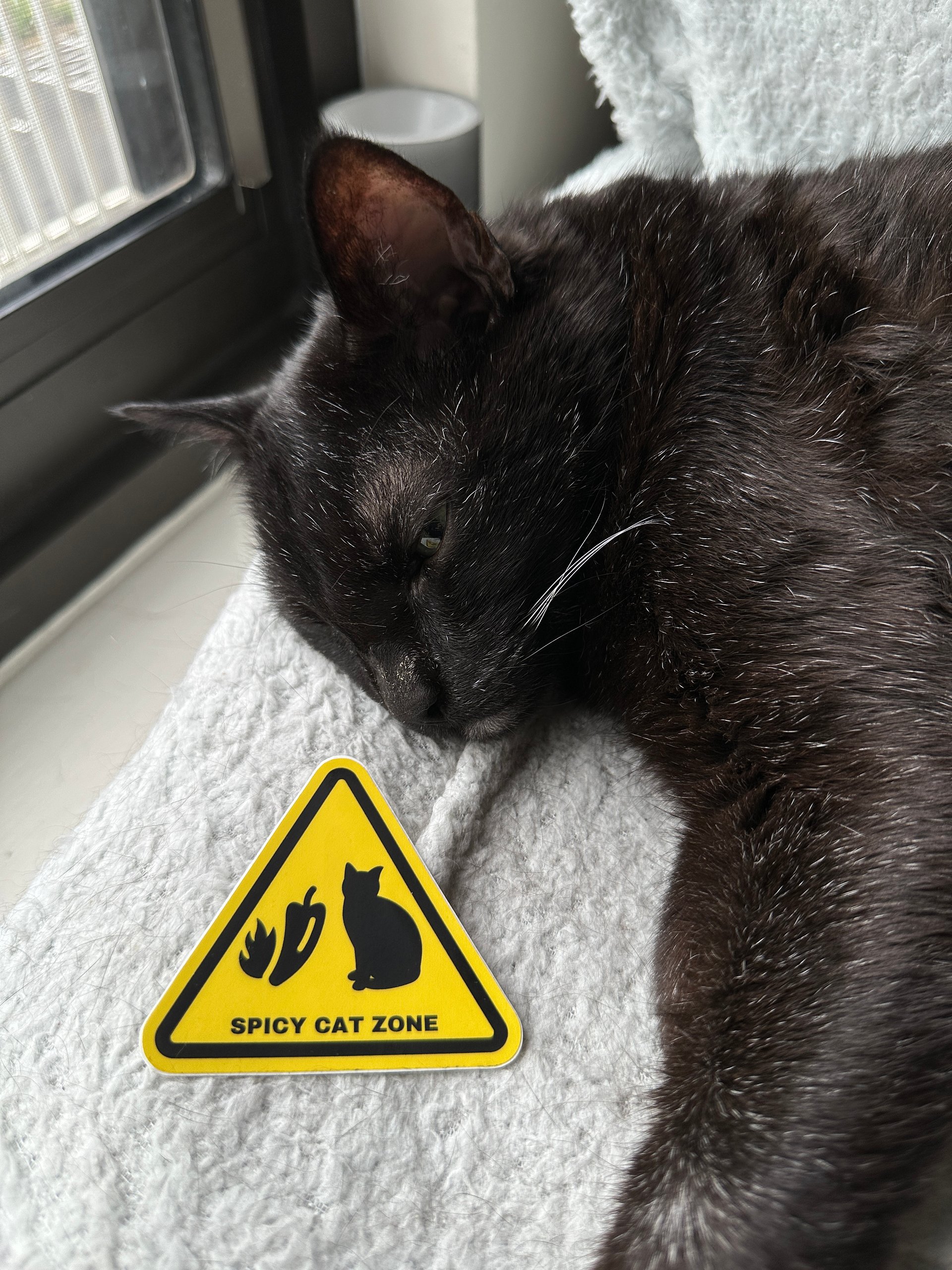 Spicy Cat Zone sticker product image (1)