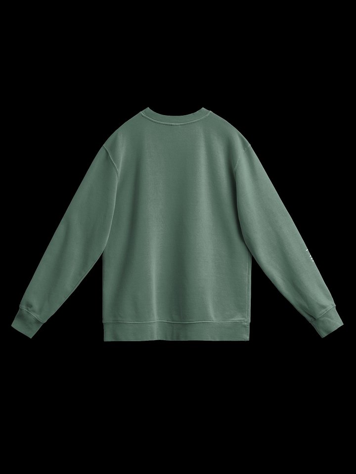 Royal Vintage Crown PNB -PATRIOT NEDO BOSS Sweatshirt product image (11)