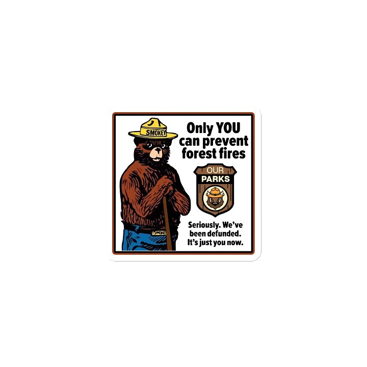 We've been DEFUNDED! Flat Magnet 3 SIZES! Smokey Our Parks Bear Alt National Parks Die Cut Magnet product image (1)