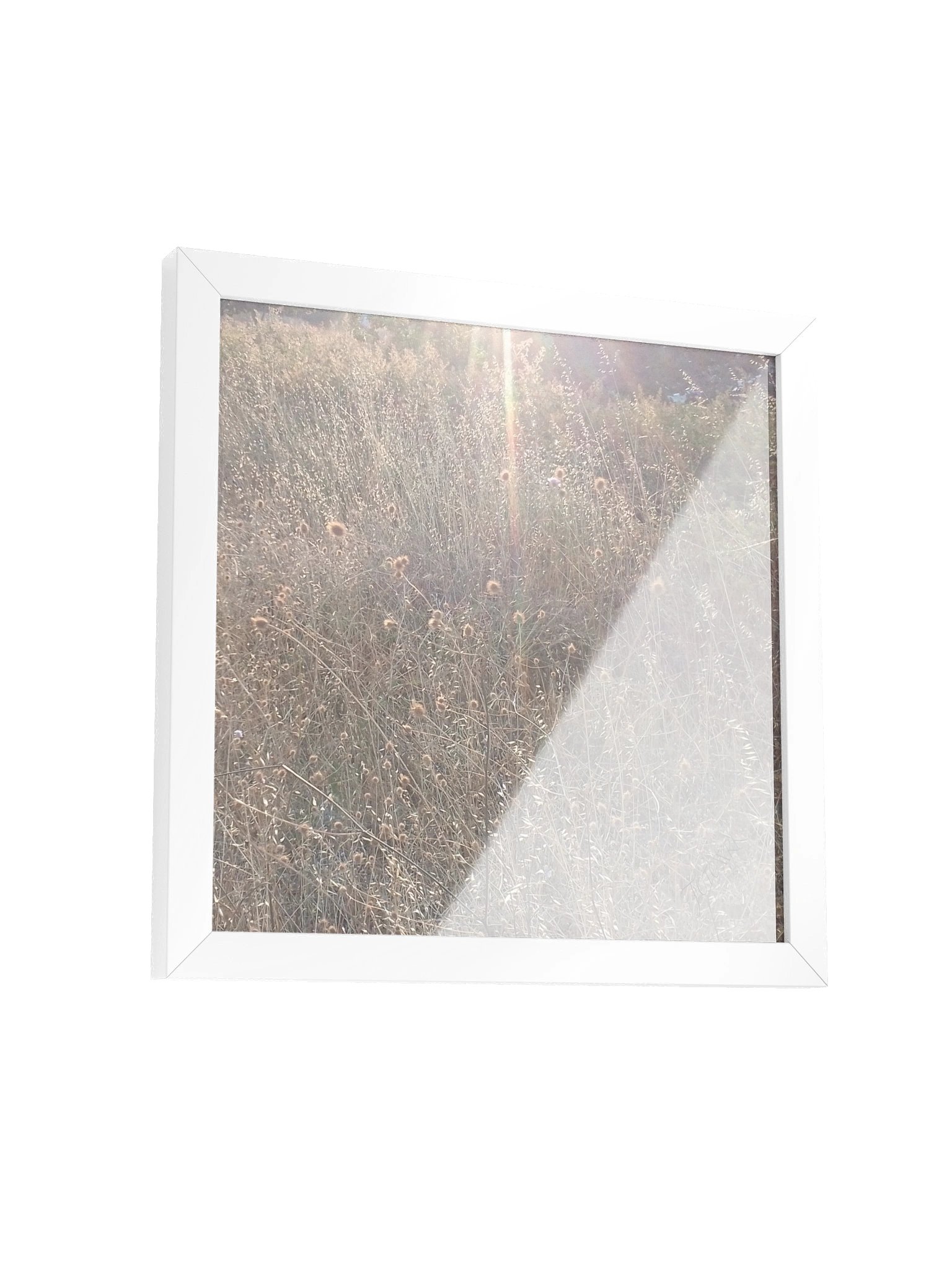Goldi - Square Matte Poster product image (4)