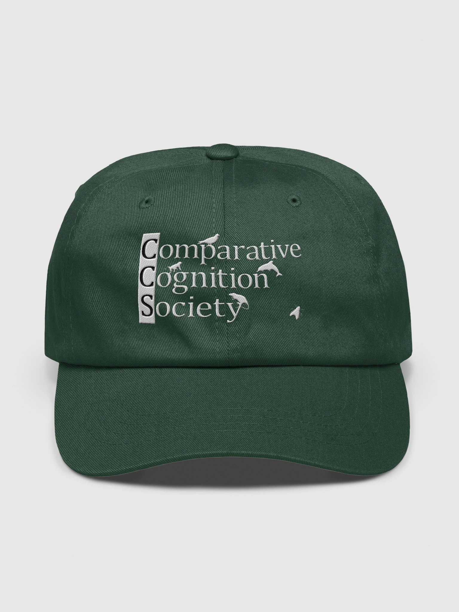 2026 CO3 Baseball Cap (Starling) product image (1)