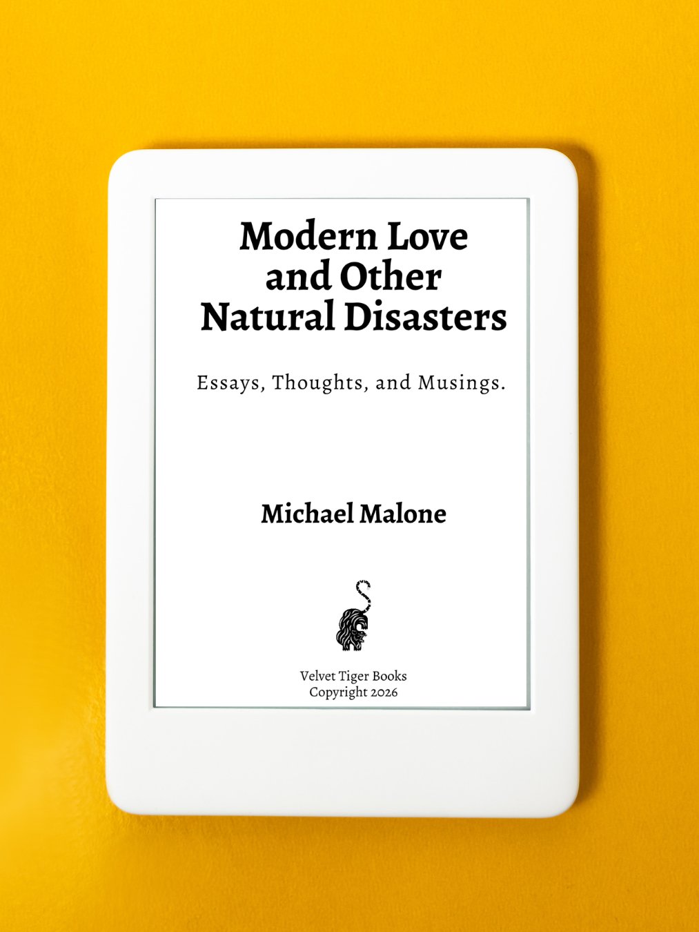 Modern Love and Other Natural Disasters (E-Book) product image (1)