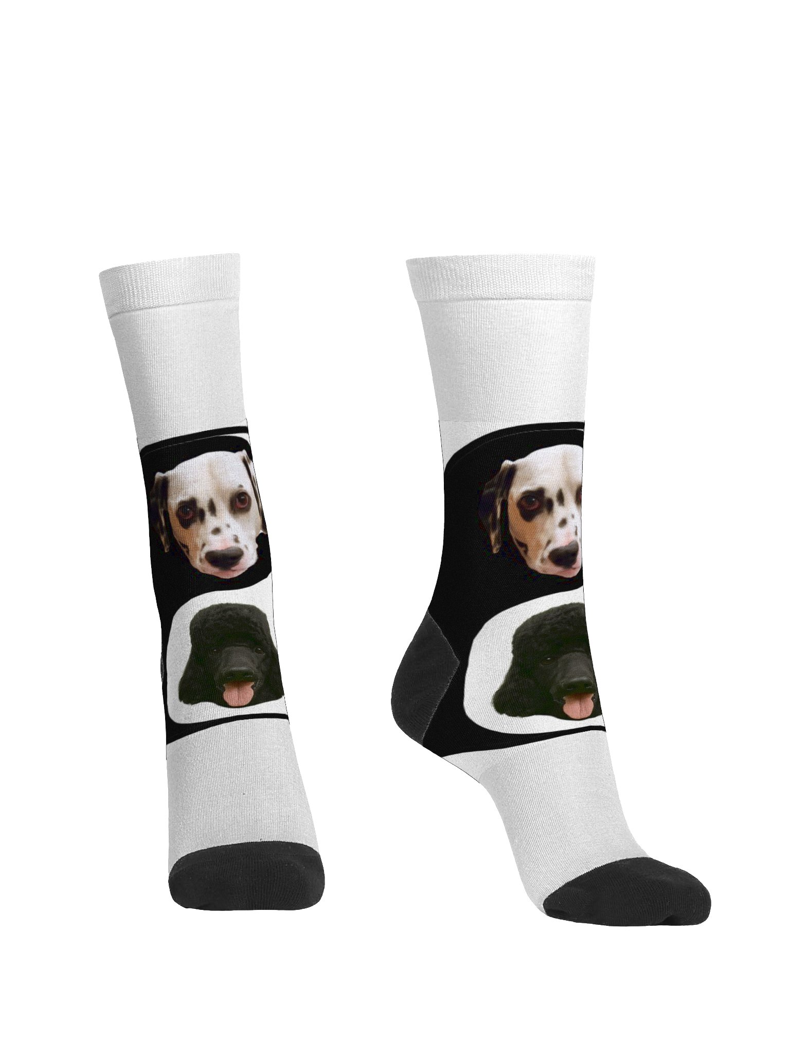 SOCKS! STEP OUT WITH JSTV MASCOTS product image (2)