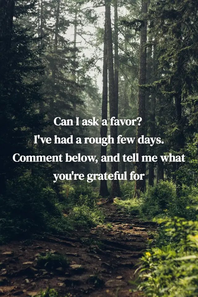 I could use a little good today  🌲♥️