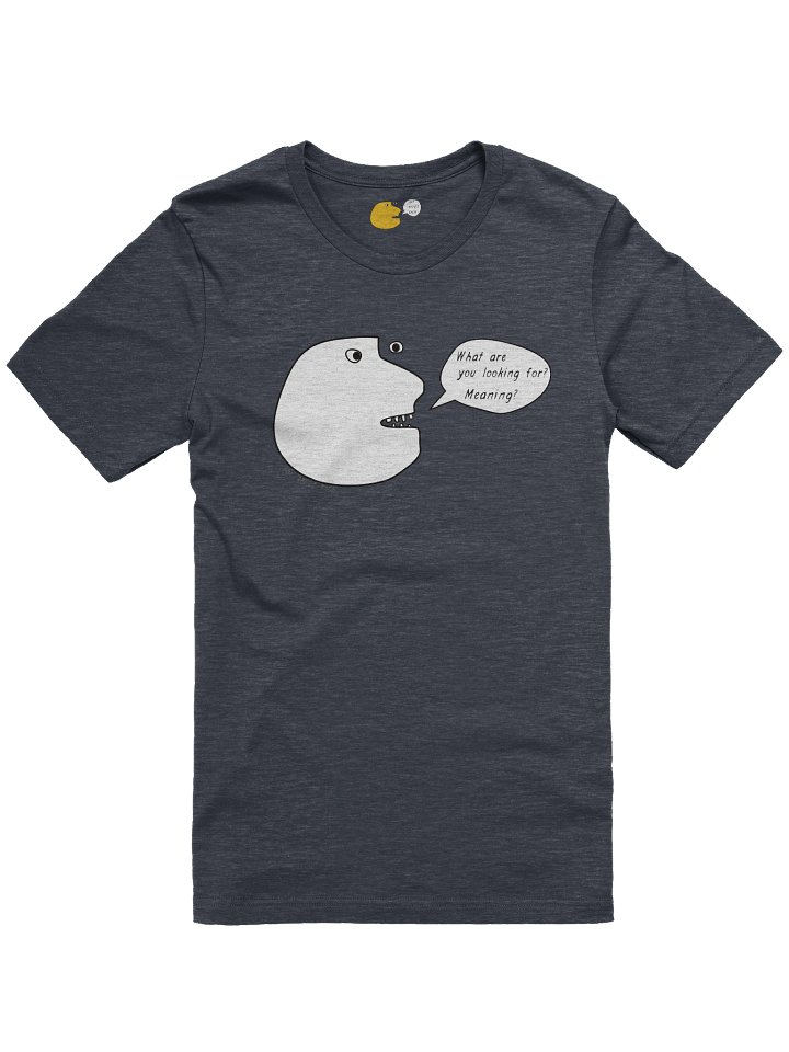 What are you Looking For? Meaning? product image (1)