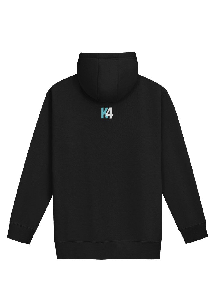 Classic Logo Basic Hoodie (Small Logo) product image (2)