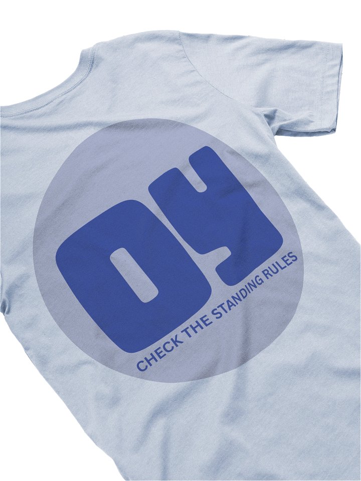 Oy, Check the Standing Rules Fitted T-Shirt product image (1)