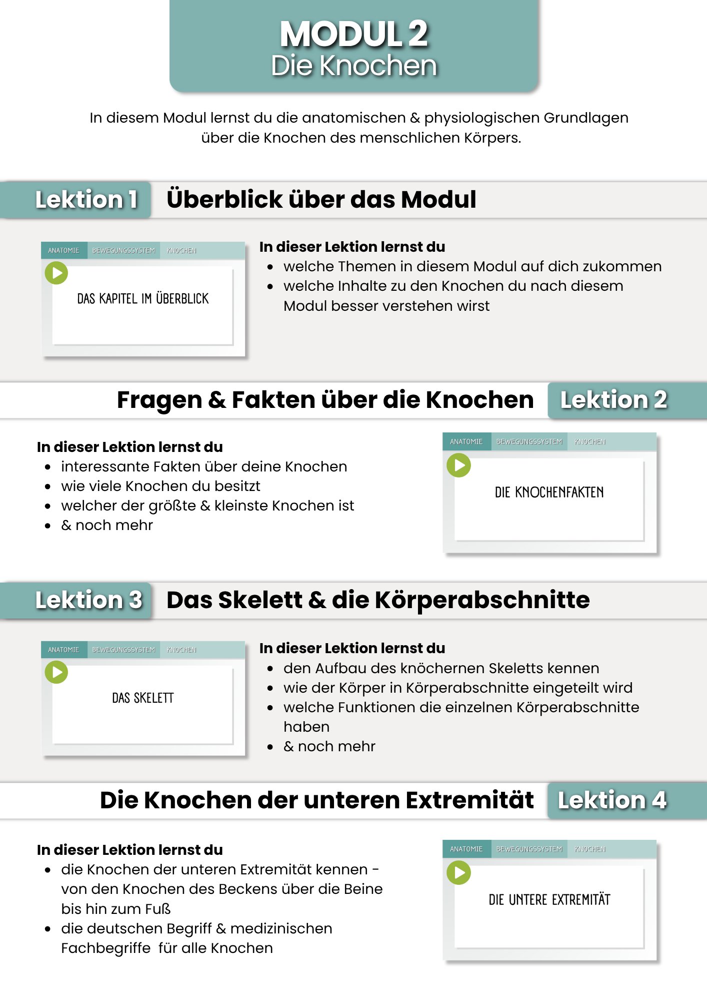 Das Bewegungssystem | der Grundlagenkurs product image (4)