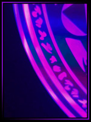D20 Wild - CAULDRON CORE ™ product image (8)