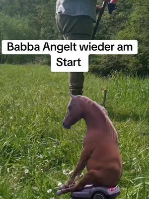 Jetzt werd ich euch wieder öfter nerven 😅 #fishing #angeln #babbaangelt 