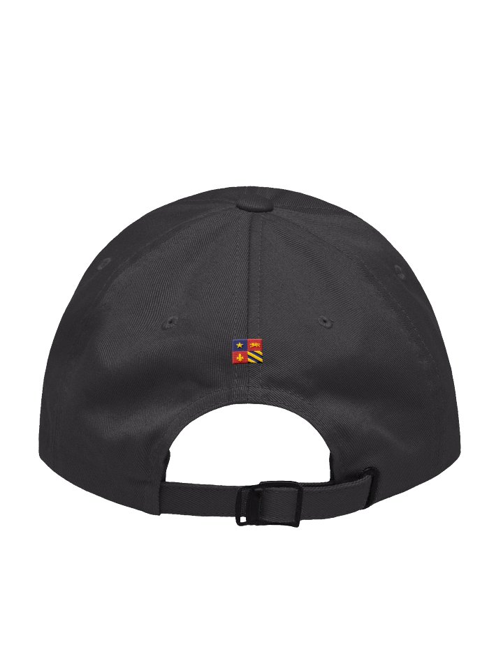 Strong Towns Logo Hat product image (11)