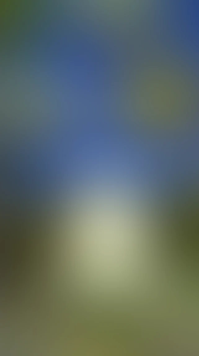 Video thumbnail background