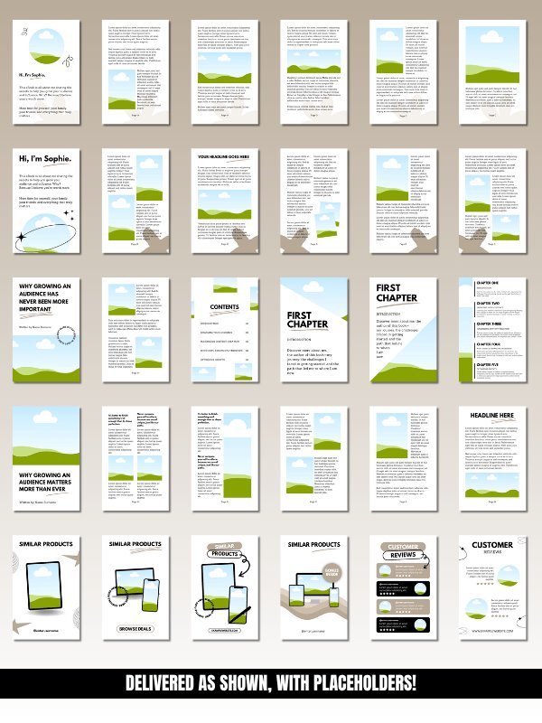 MRR/PLR Editable eBook Template in Canva product image (7)