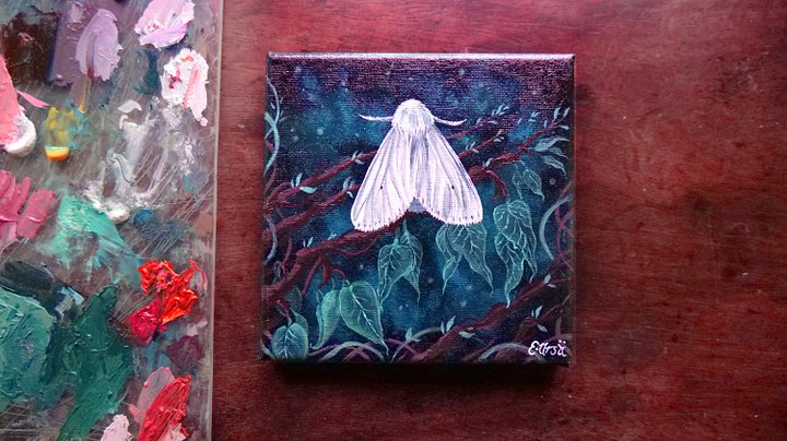 Moth | Original Oil Painting | 14cm x 14cm product image (2)