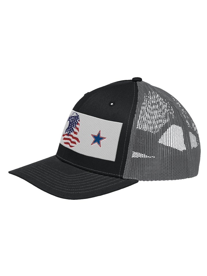 MERICAA EAGLE product image (2)
