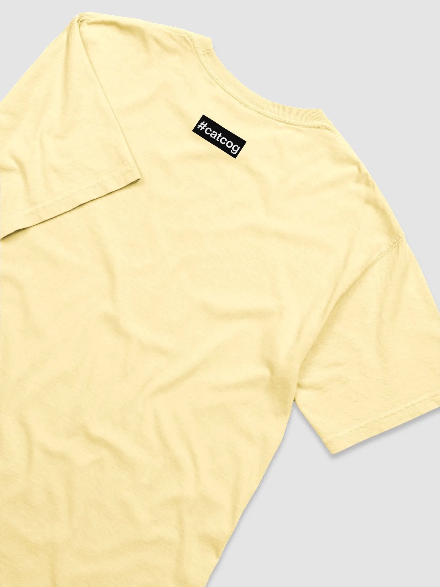 Comfort Colors Garment-Dyed Heavyweight T-Shirt: British Shorthair product image (4)