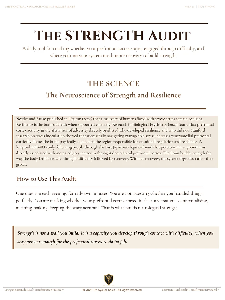 THE STRENGTH AUDIT product image (2)