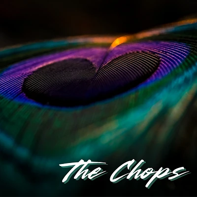 Audio thumbnail