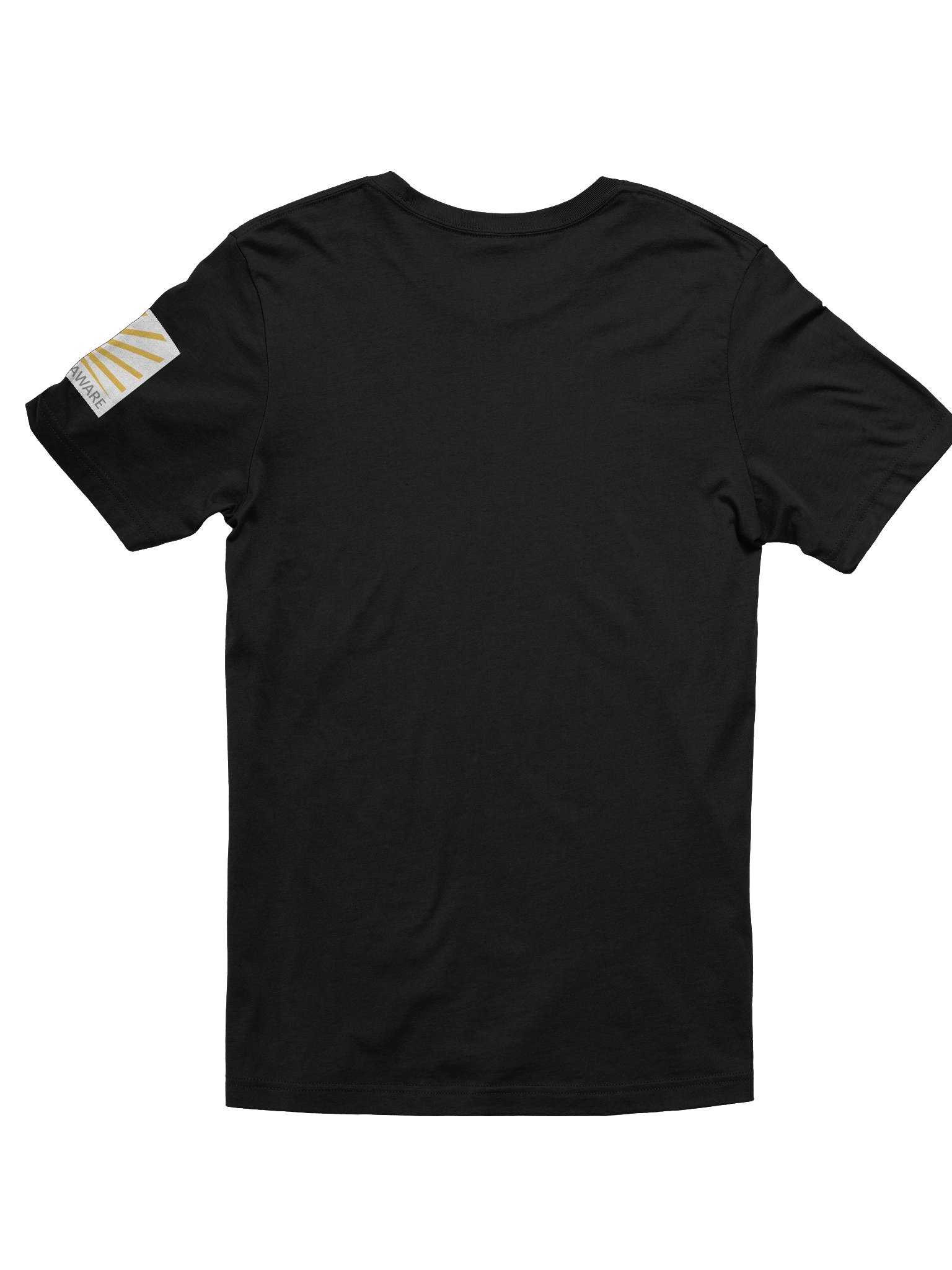 Incest AWARE | T-Shirt product image (2)