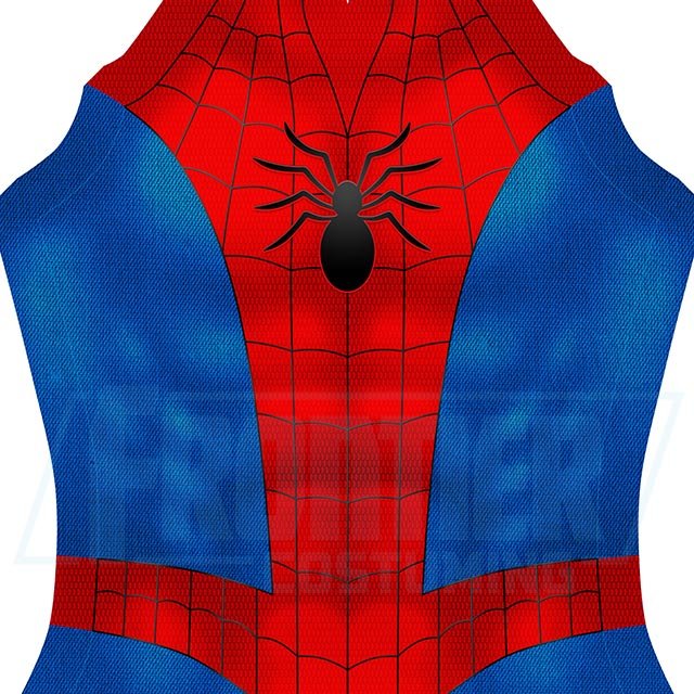 Spider | 1973 product image (2)