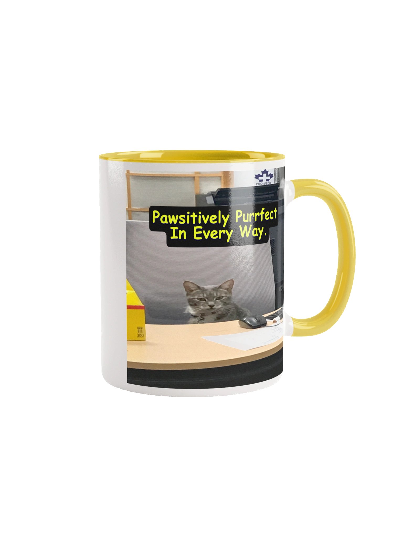 Pawsitively Purrfect Mug product image (1)