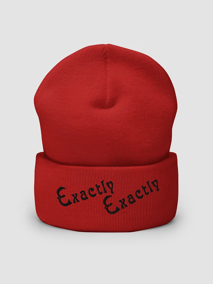 Exactly Exactly Cuffed Beanie Color product image (2)