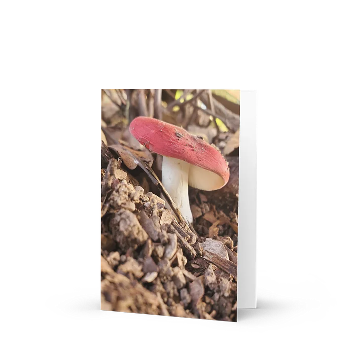 A Red Mushroom Greeting Card product image (1)
