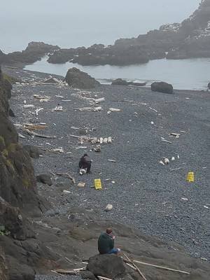 not 5 minutes after a Ranger shoo'd a bunch of entitled a holes away.   omg! #alwaysanadventure #entitled #oregoncoast 