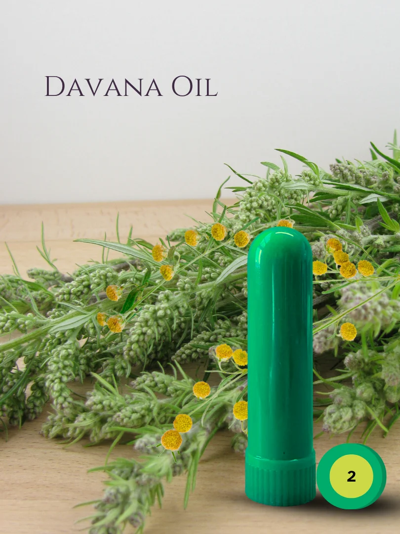 Olfaria Fruity Odor Training Kit | 5 Single-Note Essential Oils | Scent Education | Train Your Nose product image (3)
