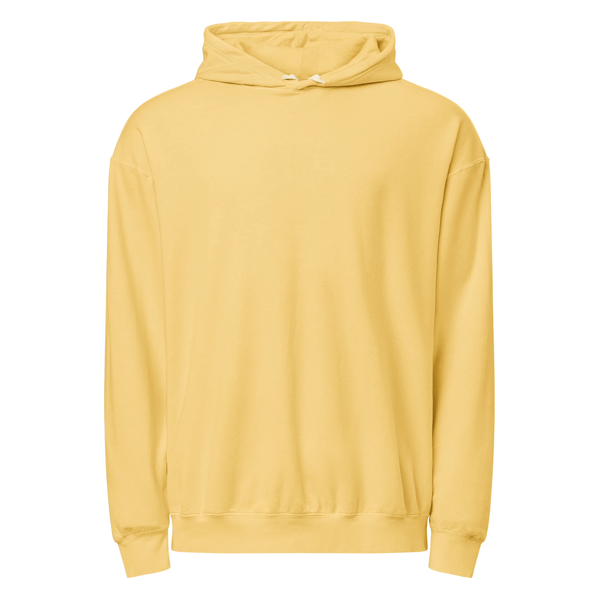 Colossians 3:23 Collection | Unisex Garment-Dyed Hooded Sweatshirt | Back Graphic Edition product image (6)